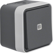 Перемикач з підсвічуванням IP55, сірий, 10АX/250В W.1 Berker 30763525