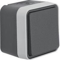 Вимикач кнопковий 1-клавішний IP55, сірий, 10АX/250В W.1 Berker 50453525