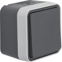 Перемикач IP55, сірий, 10АX/250В W.1 Berker 30763505